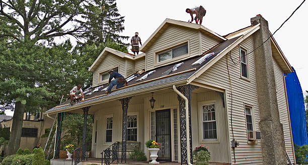 Best Metal Roofing Contractor  in Nephi, UT