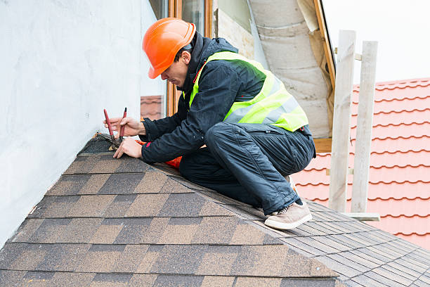 Best Roof Gutter Cleaning  in Nephi, UT
