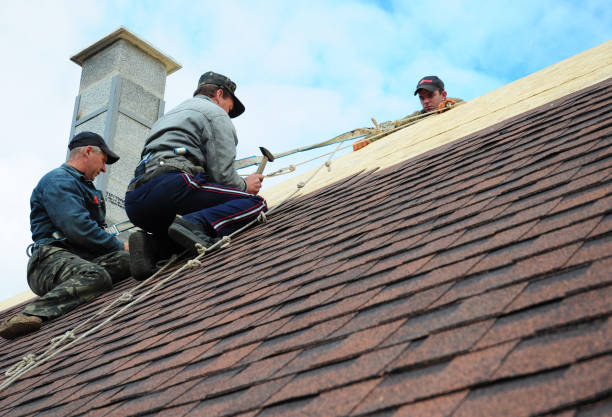 Roof Waterproofing Services in Nephi, UT