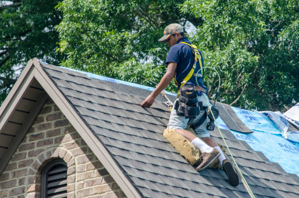 Best Roof Repair Services  in Nephi, UT